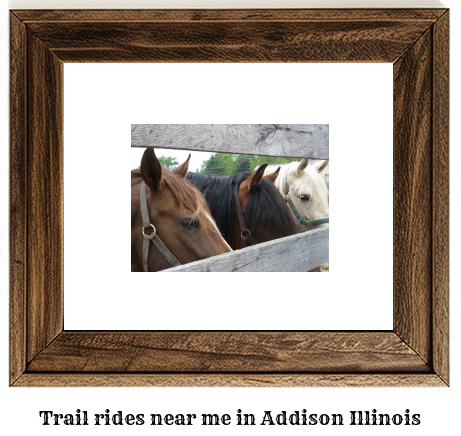 trail rides near me in Addison, Illinois